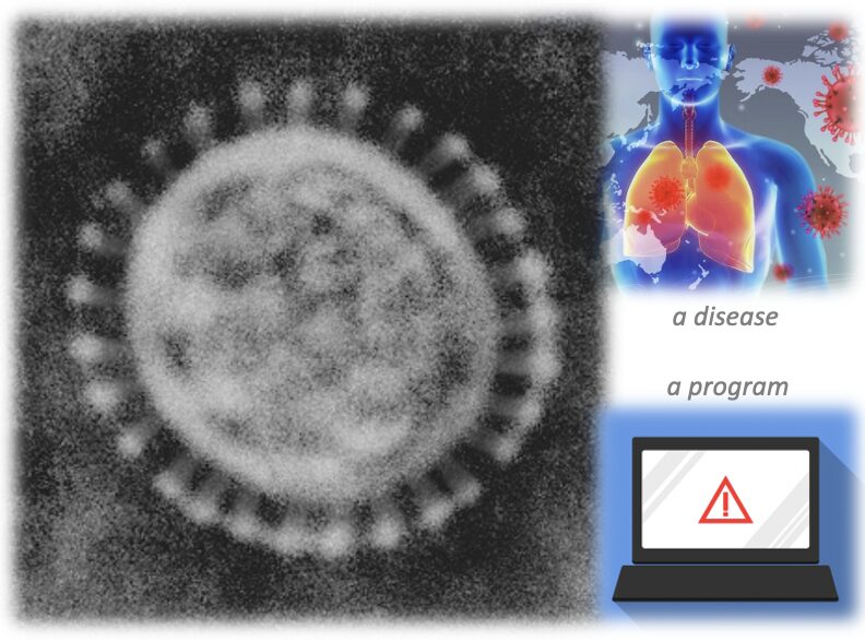 image of virus