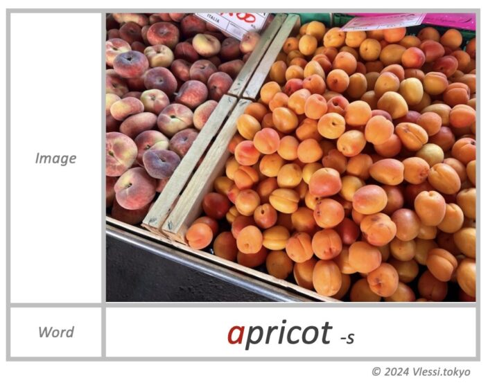 The image of apricot