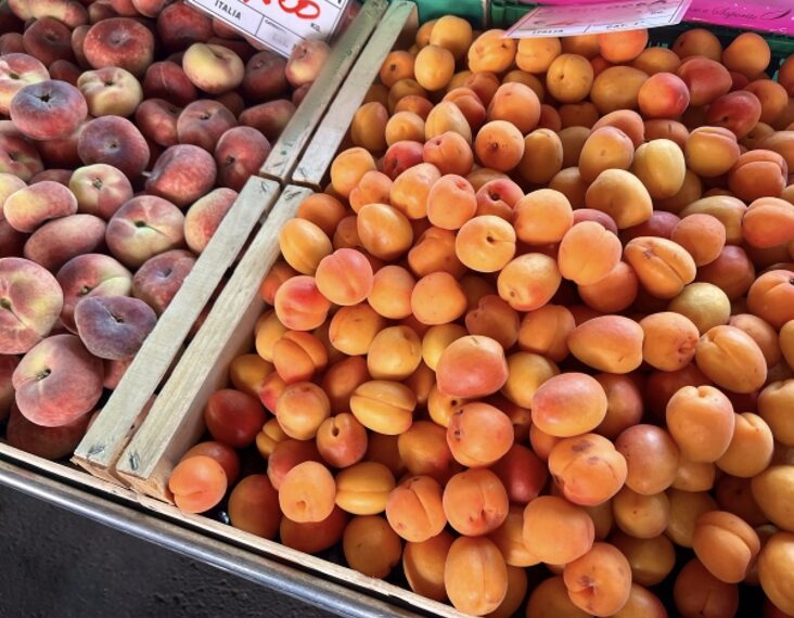 apricot