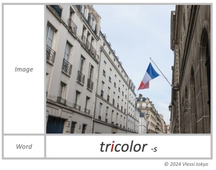 The image of tricolor