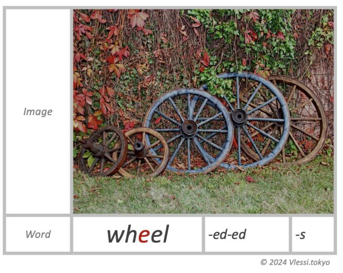 The image of wheel