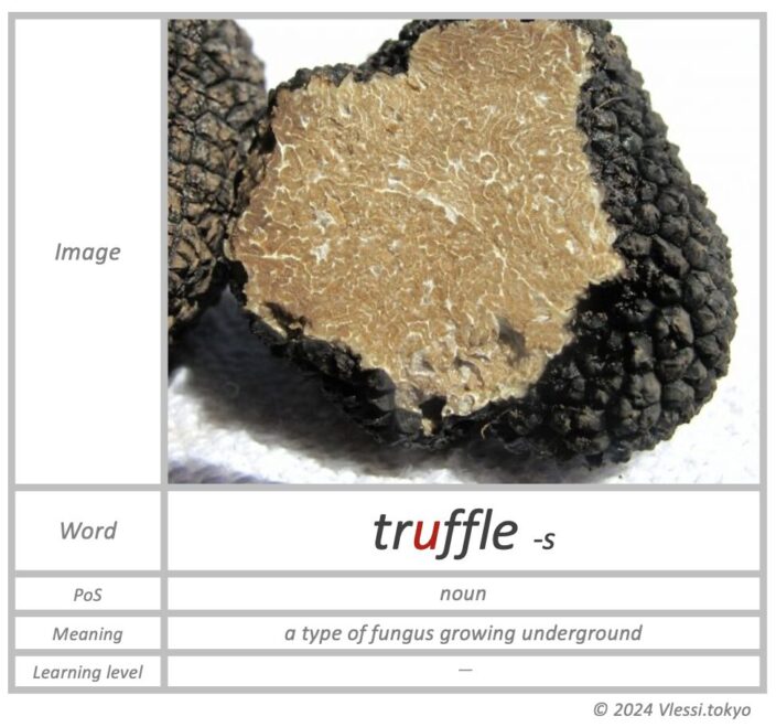 The summary of truffle