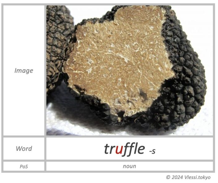 The image of truffle