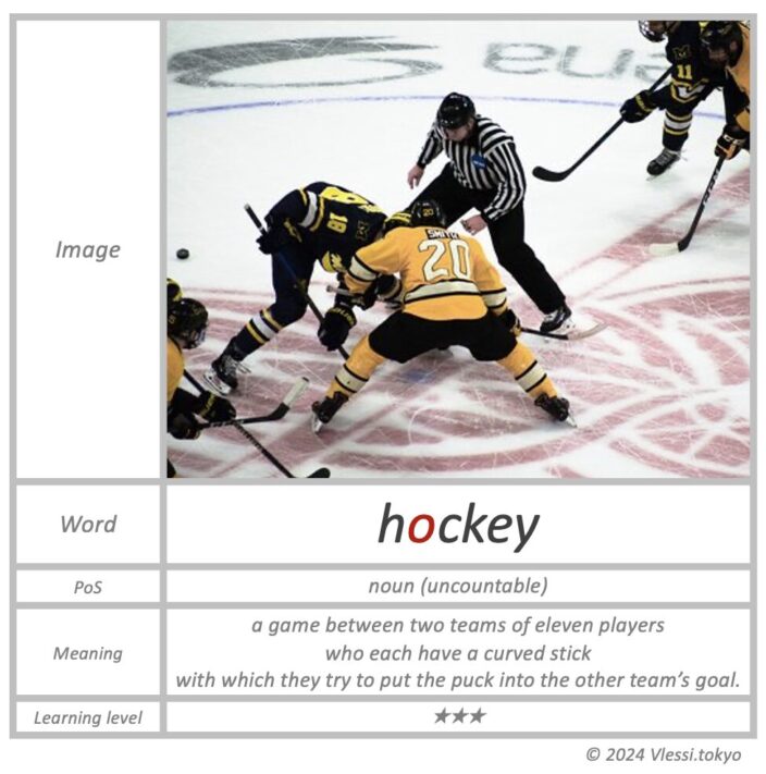 The summary of hockey
