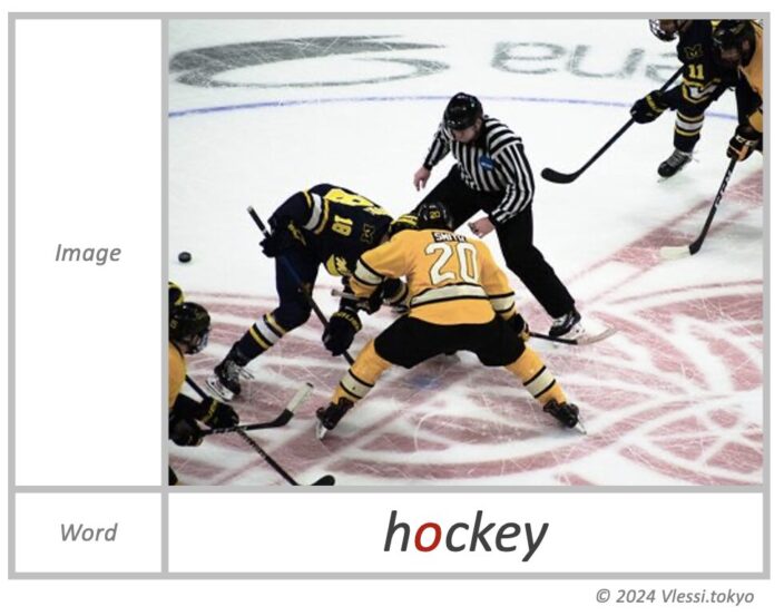 The image of hockey