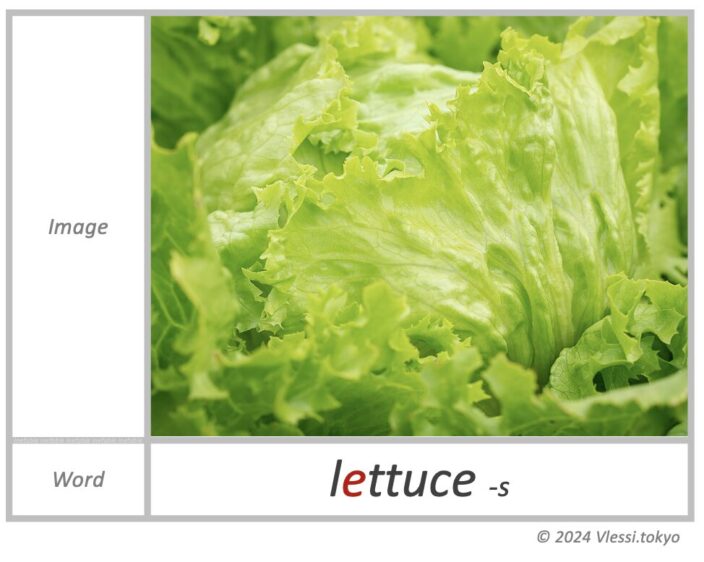 The image of lettuce