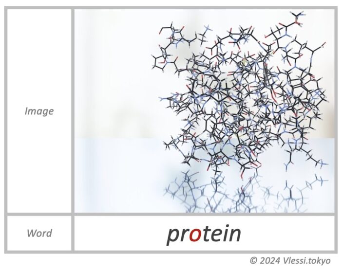 The image of protein