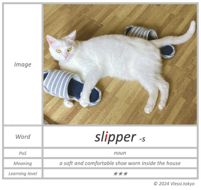 The summary of slipper