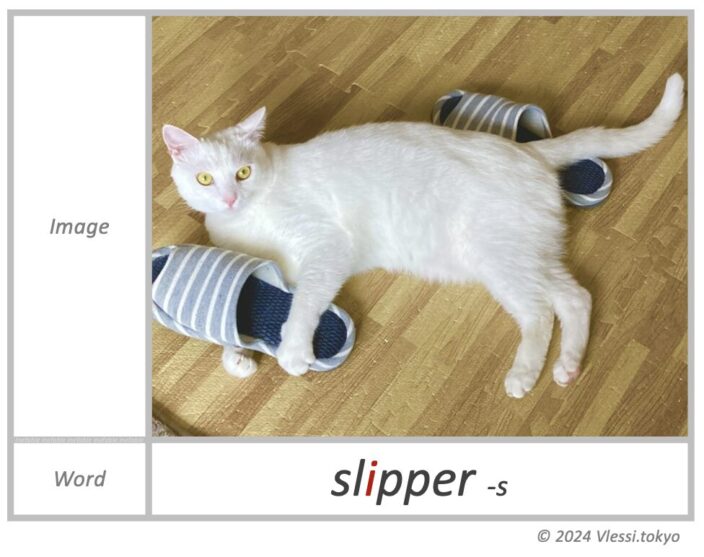 the image of slipper