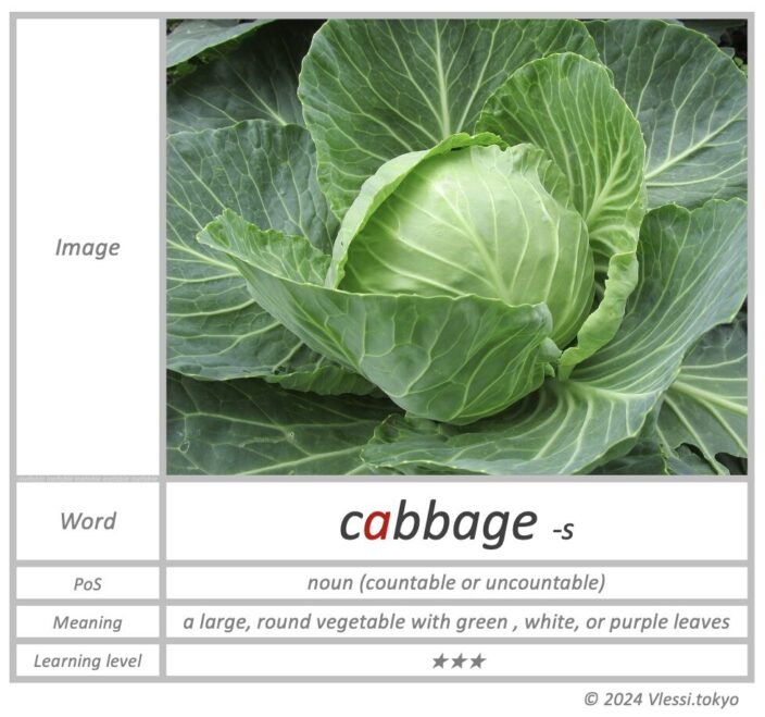 The summary of cabbage